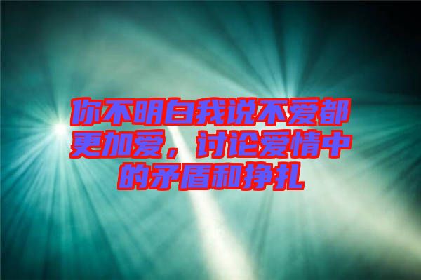 你不明白我說不愛都更加愛，討論愛情中的矛盾和掙扎