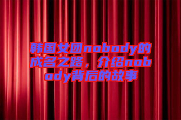 韓國(guó)女團(tuán)nobody的成名之路，介紹nobody背后的故事