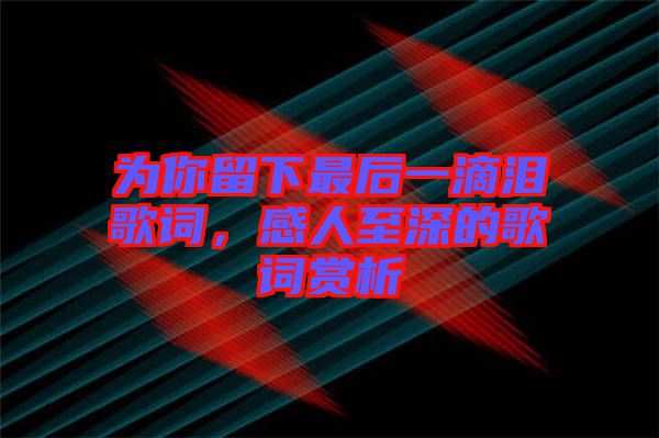 為你留下最后一滴淚歌詞，感人至深的歌詞賞析