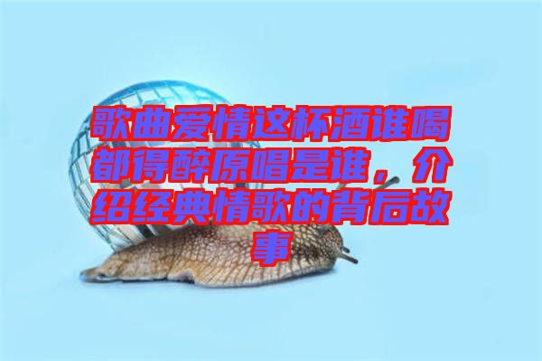 歌曲愛情這杯酒誰喝都得醉原唱是誰，介紹經(jīng)典情歌的背后故事