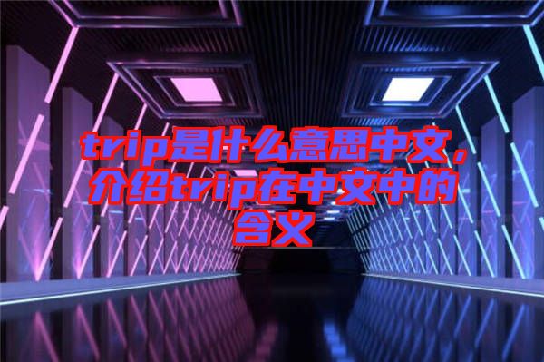 trip是什么意思中文，介紹trip在中文中的含義