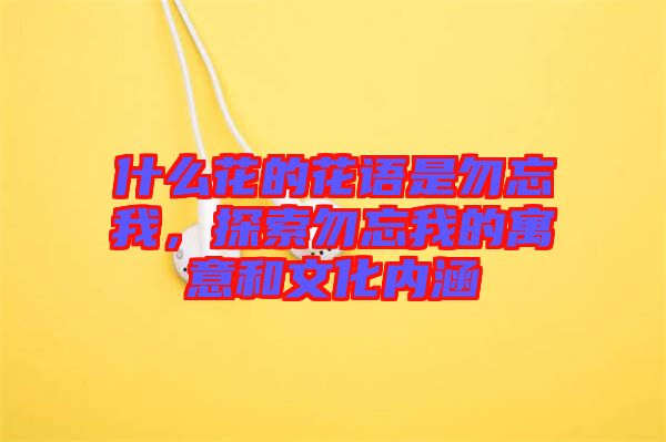 什么花的花語是勿忘我，探索勿忘我的寓意和文化內(nèi)涵