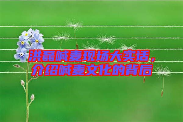 洪磊喊麥現(xiàn)場大實話，介紹喊麥文化的背后