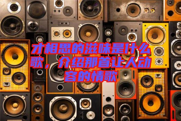 才相思的滋味是什么歌，介紹那首讓人動容的情歌