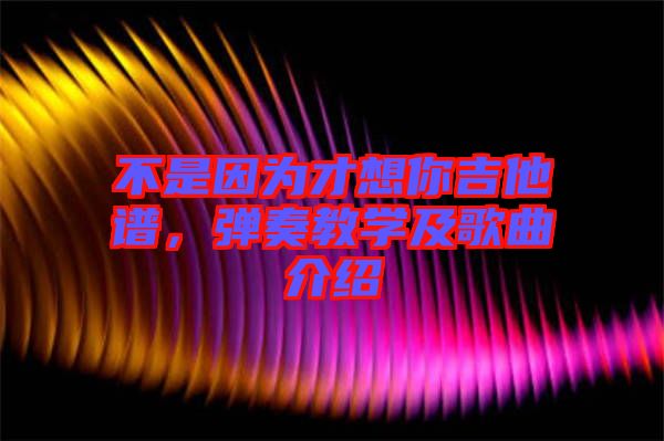 不是因?yàn)椴畔肽慵V，彈奏教學(xué)及歌曲介紹