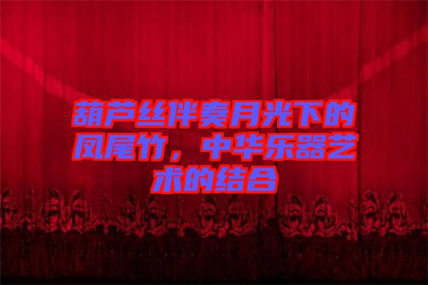葫蘆絲伴奏月光下的鳳尾竹，中華樂器藝術(shù)的結(jié)合
