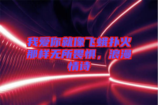 我愛你就像飛蛾撲火那樣無所畏懼，浪漫情詩