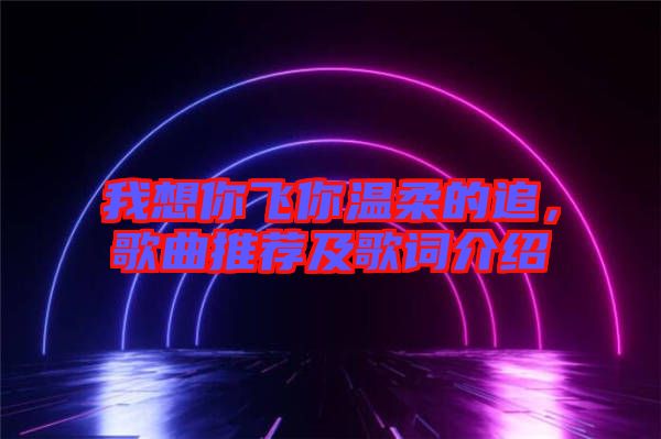 我想你飛你溫柔的追，歌曲推薦及歌詞介紹