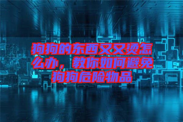 狗狗的東西又又燙怎么辦，教你如何避免狗狗危險(xiǎn)物品