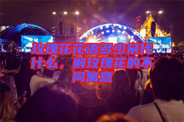 玫瑰花花語多少朵代什么，解玫瑰花的不同寓意