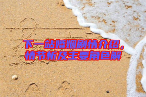 下一站婚姻劇情介紹，情節(jié)析及主要角色解