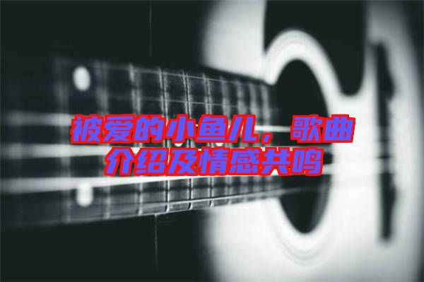 被愛(ài)的小魚(yú)兒，歌曲介紹及情感共鳴