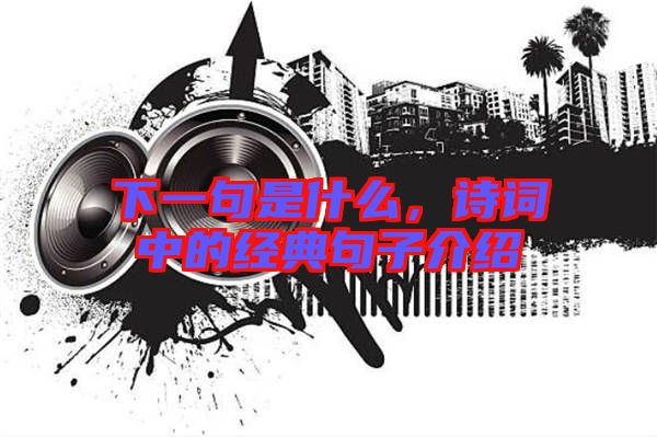 下一句是什么，詩詞中的經(jīng)典句子介紹