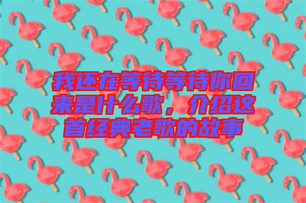 我還在等待等待你回來是什么歌，介紹這首經(jīng)典老歌的故事