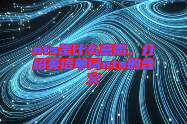 nts是什么意思，介紹英語單詞nts的含義