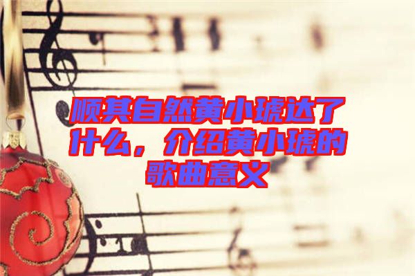 順其自然黃小琥達(dá)了什么，介紹黃小琥的歌曲意義