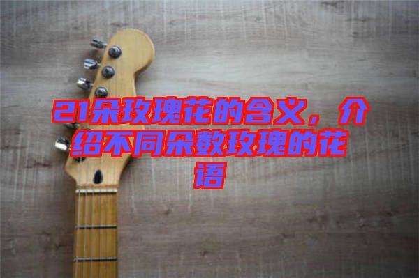 21朵玫瑰花的含義，介紹不同朵數(shù)玫瑰的花語