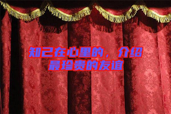 知己在心里的，介紹最珍貴的友誼