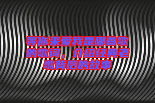 等你來(lái)愛(ài)我是哪首歌的歌詞，介紹經(jīng)典老歌背后的故事
