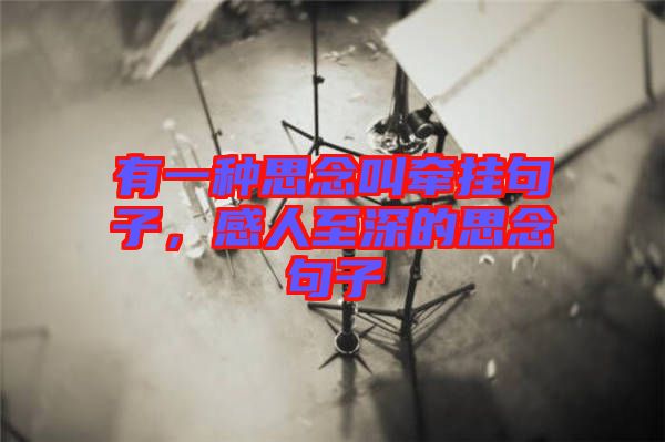 有一種思念叫牽掛句子，感人至深的思念句子