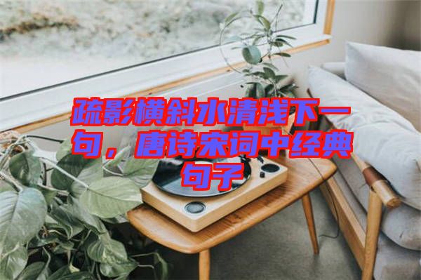 疏影橫斜水清淺下一句，唐詩(shī)宋詞中經(jīng)典句子