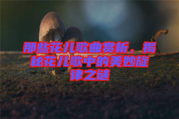 那些花兒歌曲賞析，揭秘花兒歌中的美妙旋律之謎