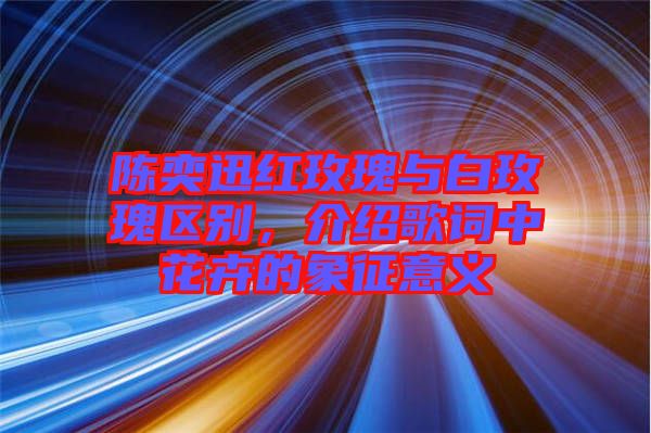 陳奕迅紅玫瑰與白玫瑰區(qū)別，介紹歌詞中花卉的象征意義
