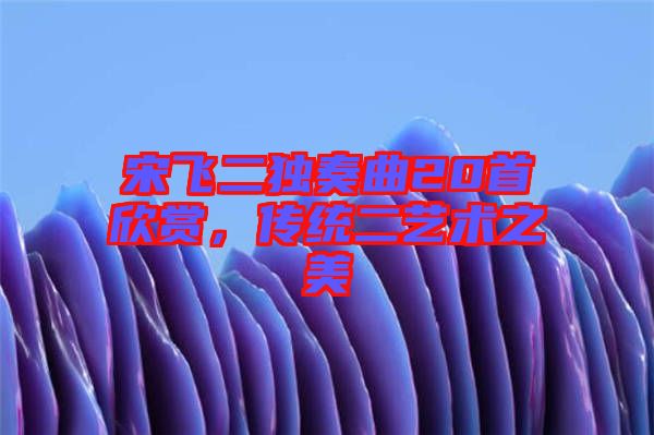 宋飛二獨奏曲20首欣賞，傳統(tǒng)二藝術(shù)之美