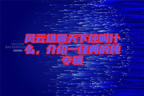 風云雄霸天下純叫什么，介紹一經(jīng)典的純專輯