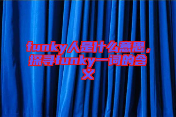funky人是什么意思，探尋funky一詞的含義