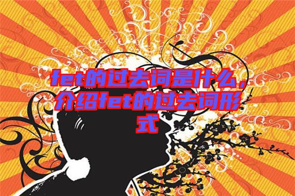 fet的過去詞是什么，介紹fet的過去詞形式