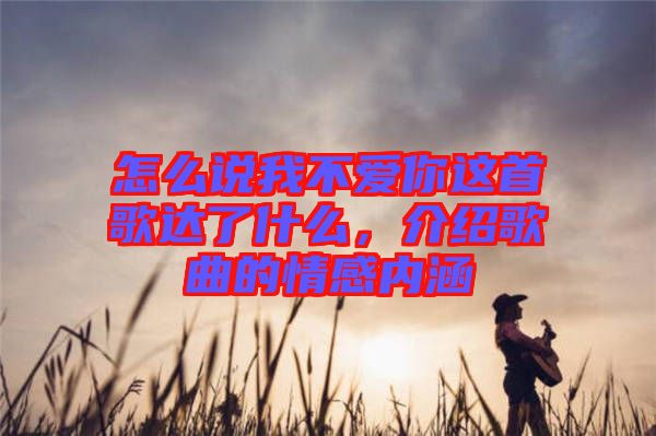 怎么說我不愛你這首歌達(dá)了什么，介紹歌曲的情感內(nèi)涵