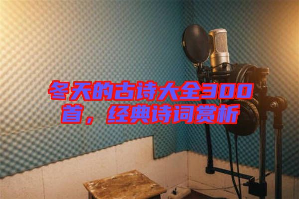 冬天的古詩(shī)大全300首，經(jīng)典詩(shī)詞賞析