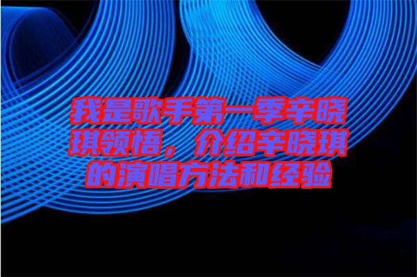 我是歌手第一季辛?xí)早黝I(lǐng)悟，介紹辛?xí)早鞯难莩椒ê徒?jīng)驗(yàn)