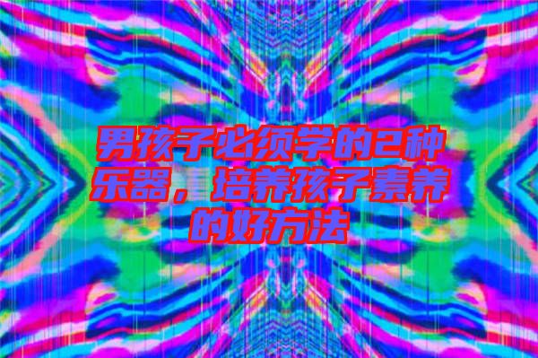 男孩子必須學(xué)的2種樂器，培養(yǎng)孩子素養(yǎng)的好方法