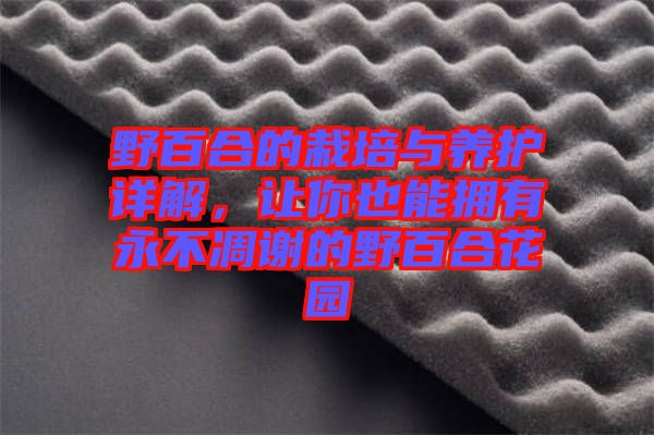 野百合的栽培與養(yǎng)護詳解，讓你也能擁有永不凋謝的野百合花園