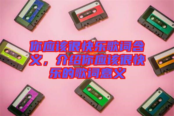 你應(yīng)該很快樂(lè)歌詞含義，介紹你應(yīng)該很快樂(lè)的歌詞意義