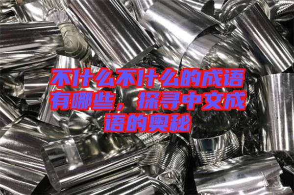 不什么不什么的成語有哪些，探尋中文成語的奧秘