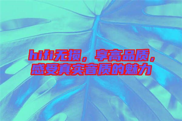 hifi無損，享高品質，感受真實音質的魅力