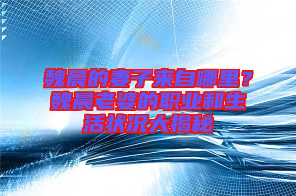 魏晨的妻子來自哪里？魏晨老婆的職業(yè)和生活狀況大揭秘