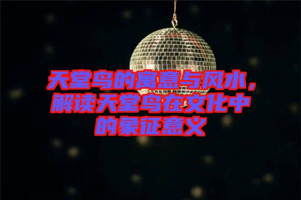 天堂鳥的寓意與風水，解讀天堂鳥在文化中的象征意義