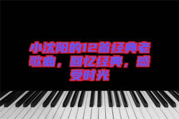 小沈陽的12首經(jīng)典老歌曲，回憶經(jīng)典，感受時光