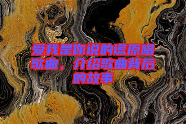 愛我是你說(shuō)的謊原唱歌曲，介紹歌曲背后的故事