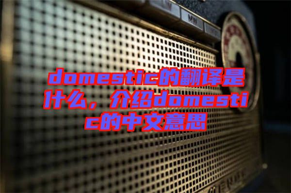 domestic的翻譯是什么，介紹domestic的中文意思