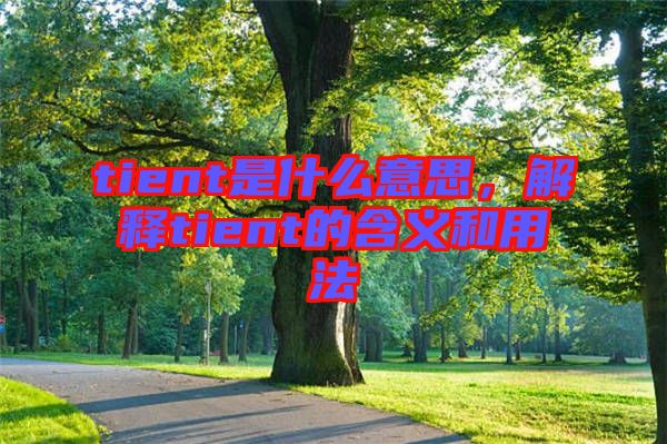 tient是什么意思，解釋tient的含義和用法