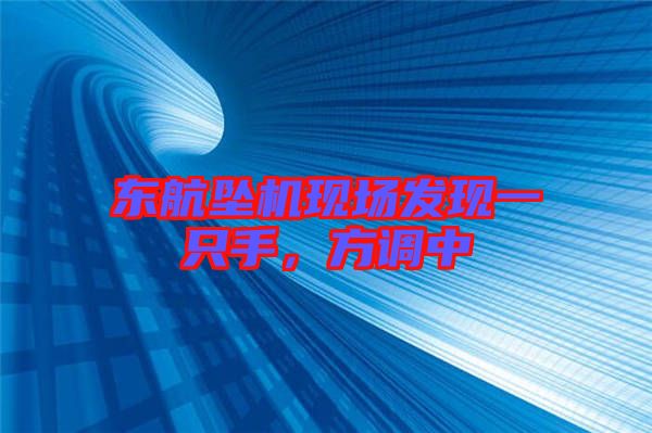 東航墜機(jī)現(xiàn)場發(fā)現(xiàn)一只手，方調(diào)中