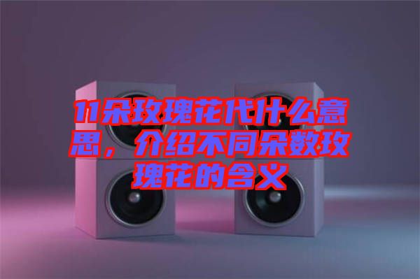 11朵玫瑰花代什么意思，介紹不同朵數(shù)玫瑰花的含義