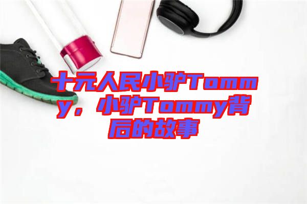 十元人民小驢Tommy，小驢Tommy背后的故事