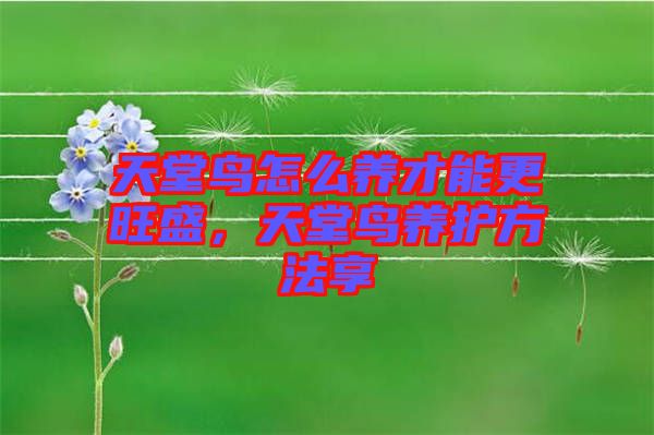 天堂鳥怎么養(yǎng)才能更旺盛，天堂鳥養(yǎng)護方法享