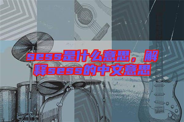 sess是什么意思，解釋sess的中文意思